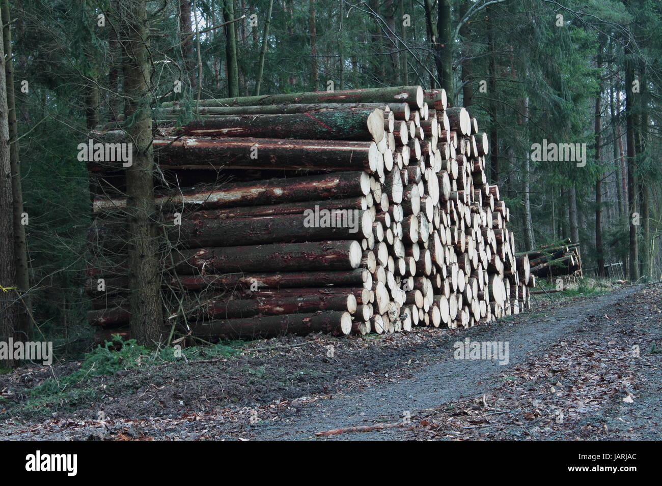 Nachhaltige Stockfoto