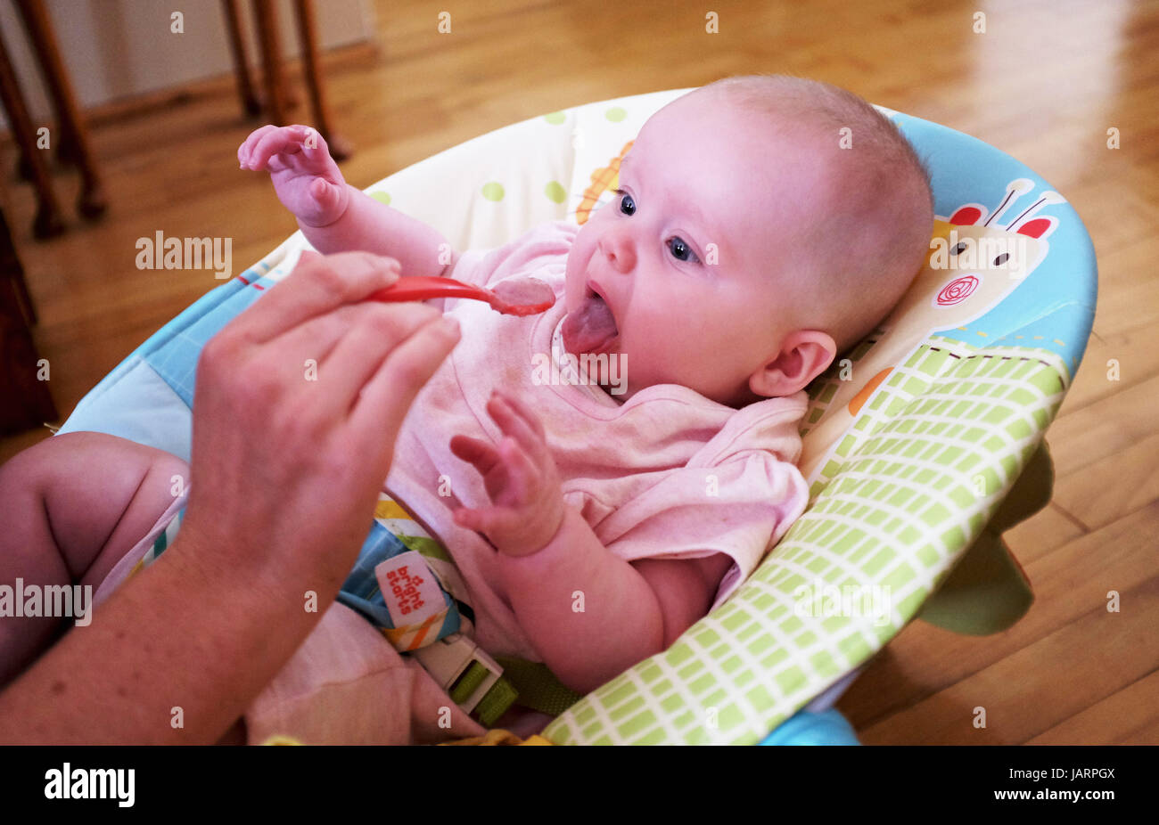 Sechs Monate altes Baby Mädchen weiblich Essen festen Nahrung aus einem Plastiklöffel Foto von Simon Dack Stockfoto