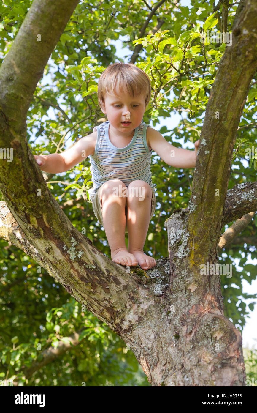 Junge will Apfelbaum im Sommer springen Stockfoto