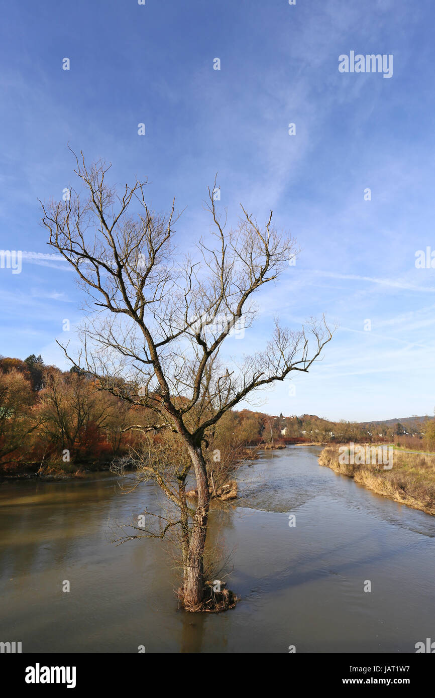 Anfang Dezember an der Ruhr Stockfoto