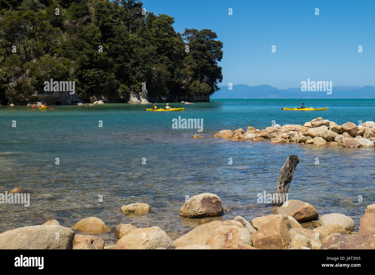 Kajakfahrer vor der Küste des Abel Tasman National Park, Neuseeland Stockfoto