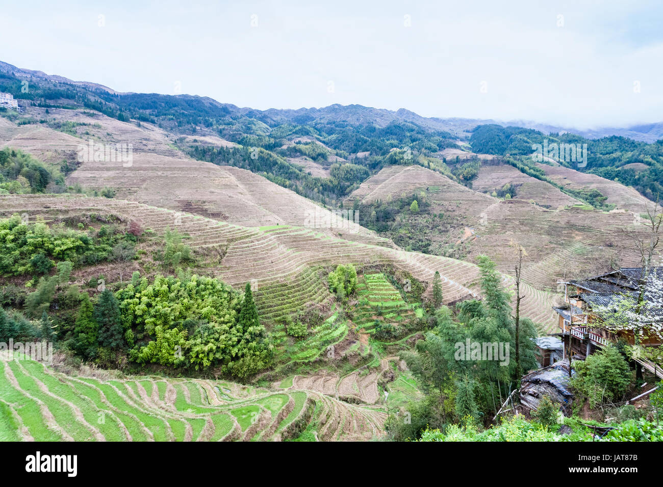 Reisen Sie nach China - Ansicht von Terrassenfeldern und Häuser der Ortschaft Tiantouzhai in Dazhai Longsheng Reisterrassen (Dragon es Rückgrat Terrasse, Longji Stockfoto