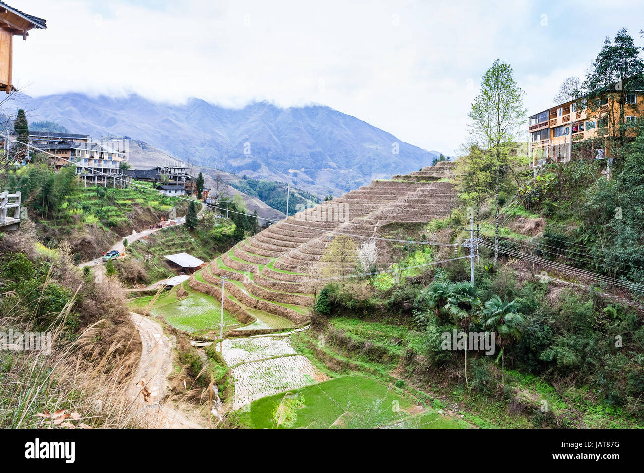 Reisen nach China - Ansicht von Dazhai Ortschaft in Longsheng Reisterrassen (Dragon es Rückgrat Terrasse, Longji Reisterrassen) Land im Frühling Stockfoto