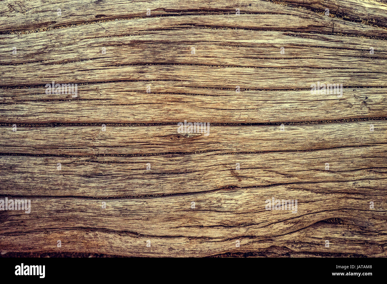 Wood Grain Hintergrund oder als Bildschirmschoner Stockfoto Wood Grain Hintergrund oder als Bildschirmschoner Stockfoto
