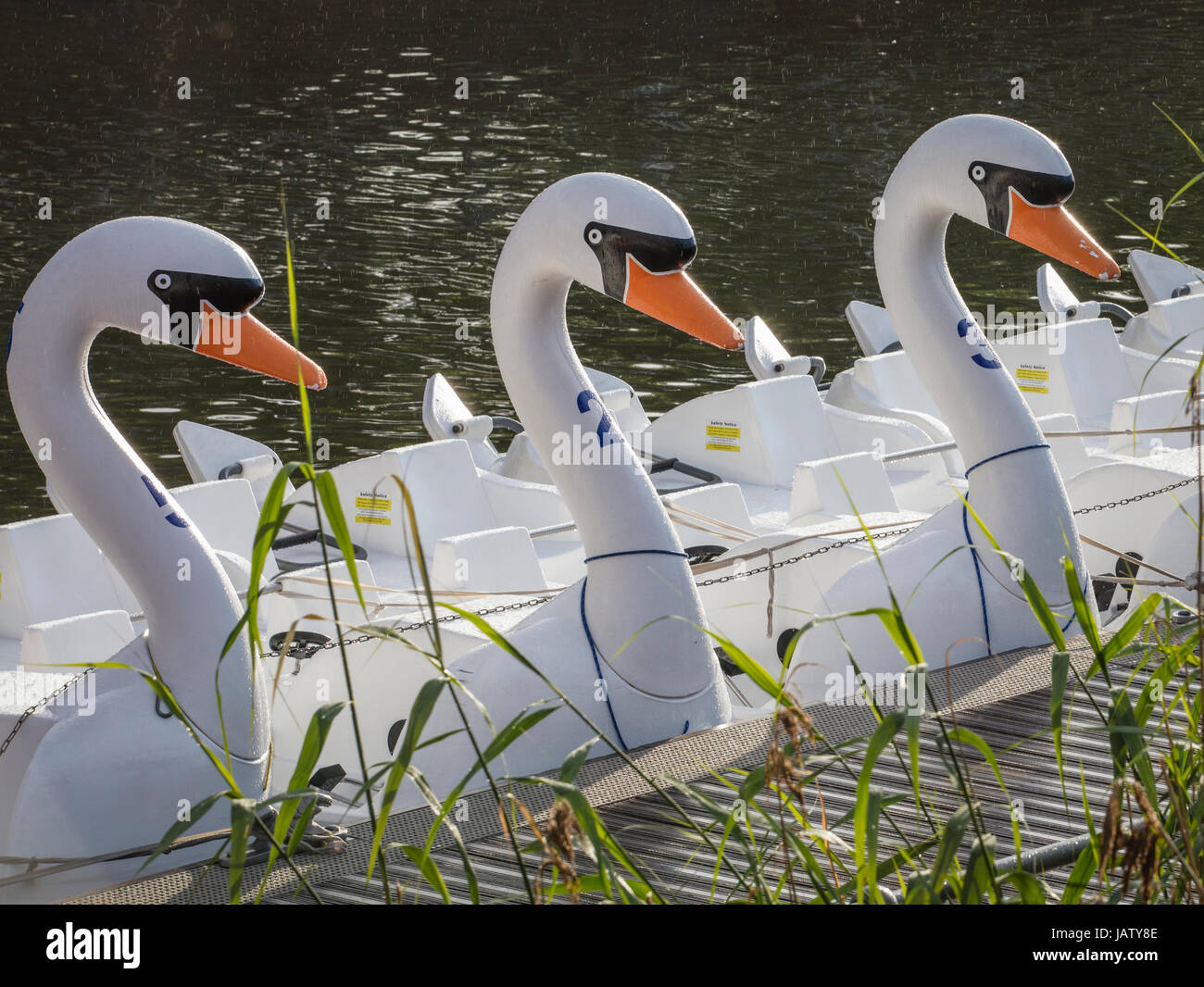 Drei Boote der Schwan Stockfoto Drei Boote der Schwan Stockfoto