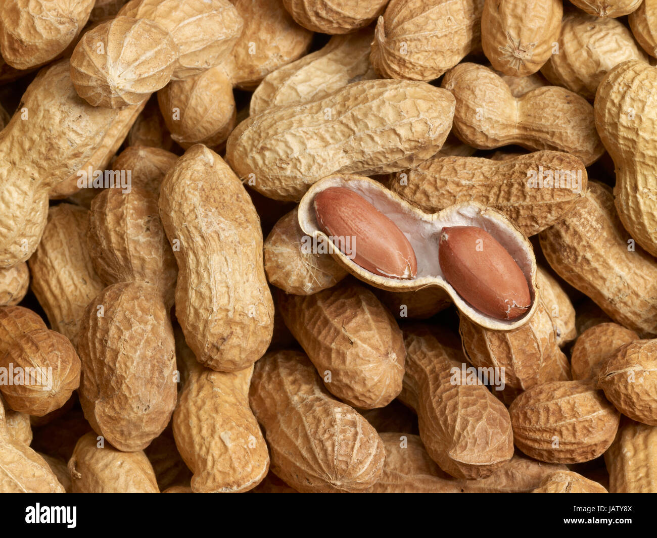 geöffnete Erdnuss in ungeschälte Erdnüsse Hintergrund Stockfoto