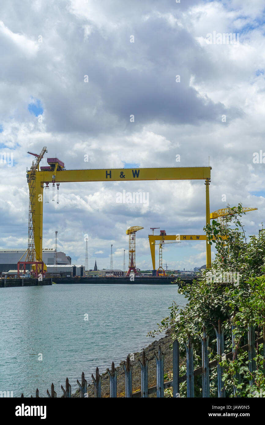 Samson und Goliath Portalkränen auf der Werft von Harland & Wolff in Belfast, Nordirland, Vereinigtes Königreich. Gebaut von der deutschen engineering Firma Krupp. Stockfoto