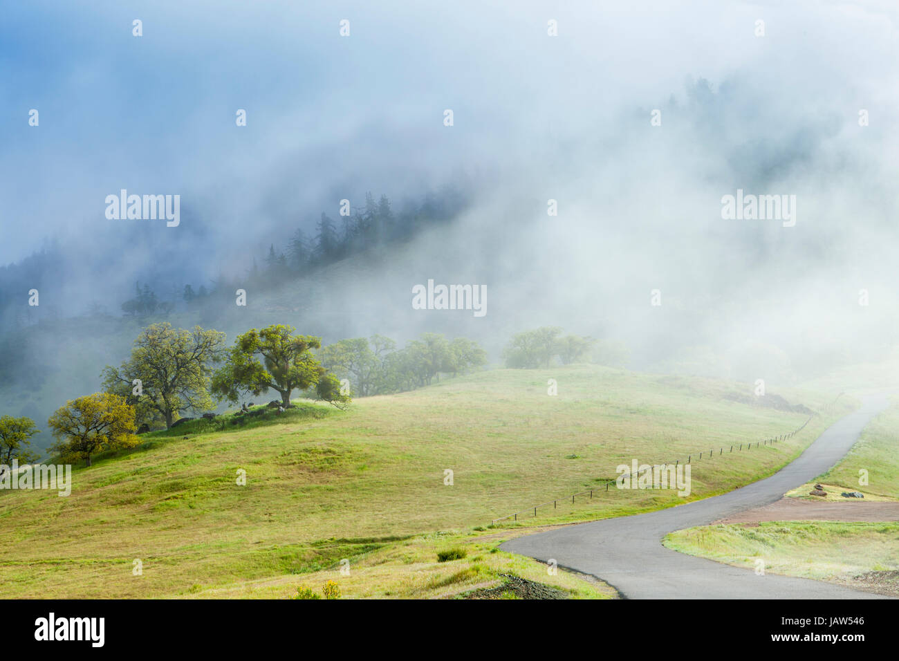 Straße über Figueroa Mountain, in der Nähe von Santa Barbara, Kalifornien Stockfoto