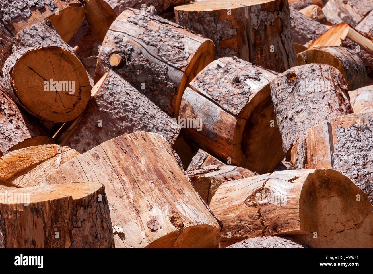 Horizontalen Schuss von frisch geschnittenem Brennholz meldet sich in einem Stapel Stockfoto