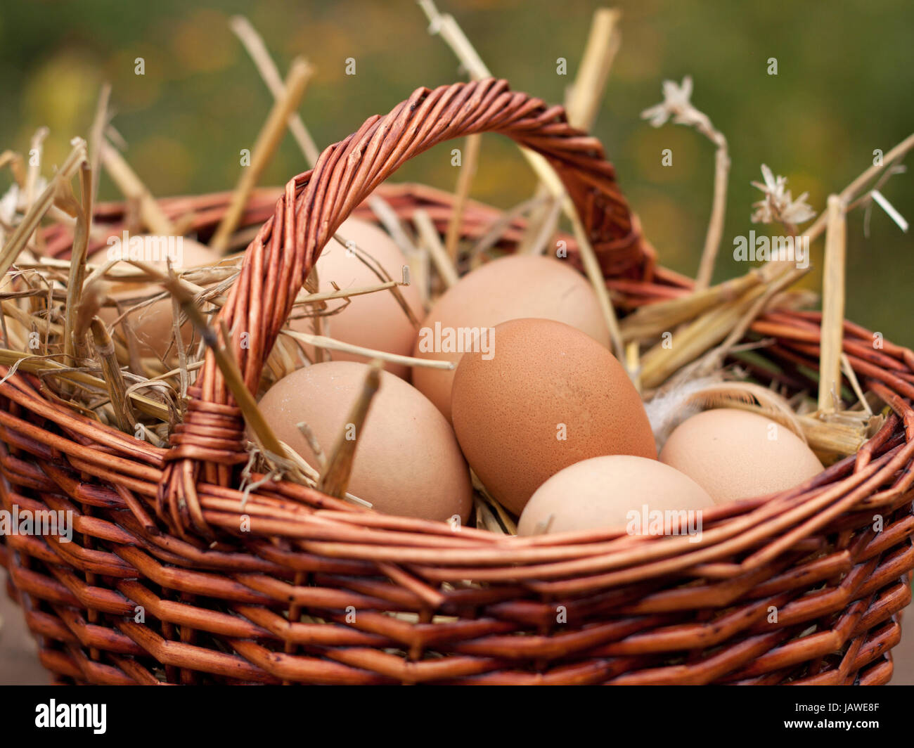 Frische Eier von Wochenmarkt Stockfoto