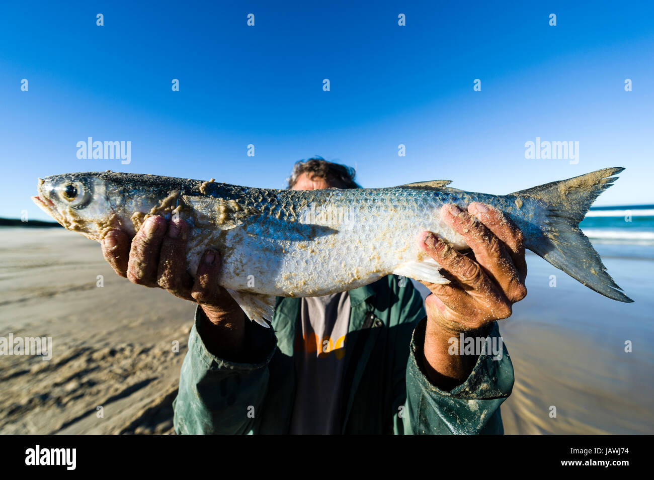 Ein Fischer zeigt stolz eine Meeräsche, die er gefangen hat. Stockfoto