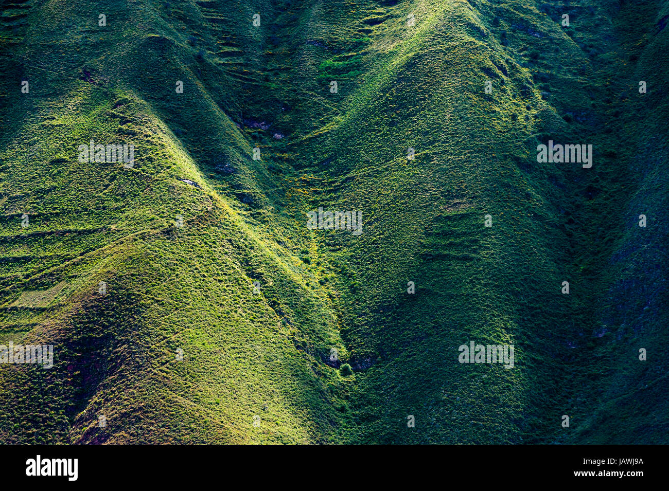 Landwirtschaftlichen Terrassen an den steilen Hängen der Anden. Stockfoto