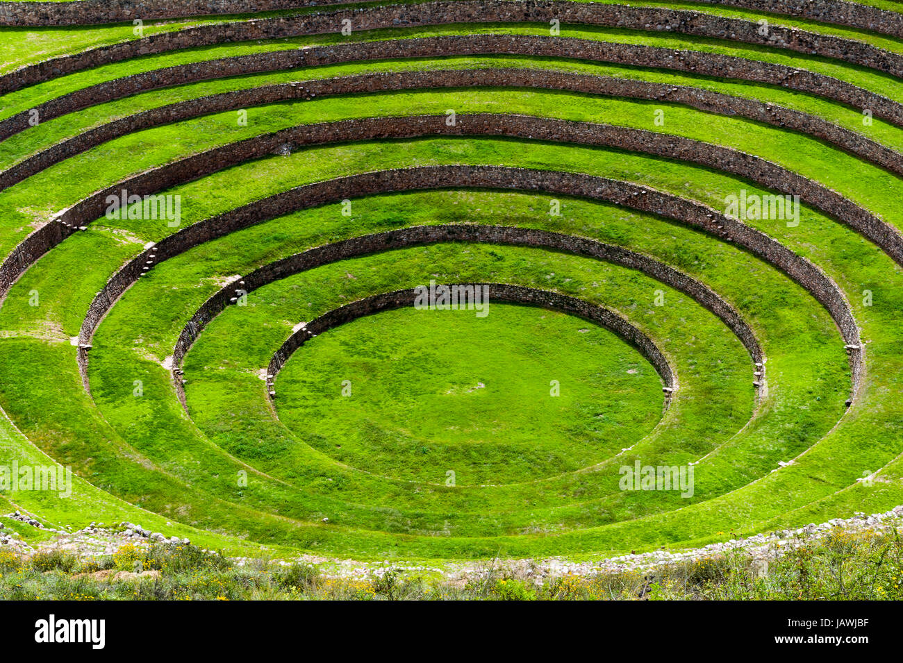 Eine Inka-Stätte mit Stein Wand Terrassen für den Anbau von Nutzpflanzen durch die Schaffung von Mikroklimata. Stockfoto