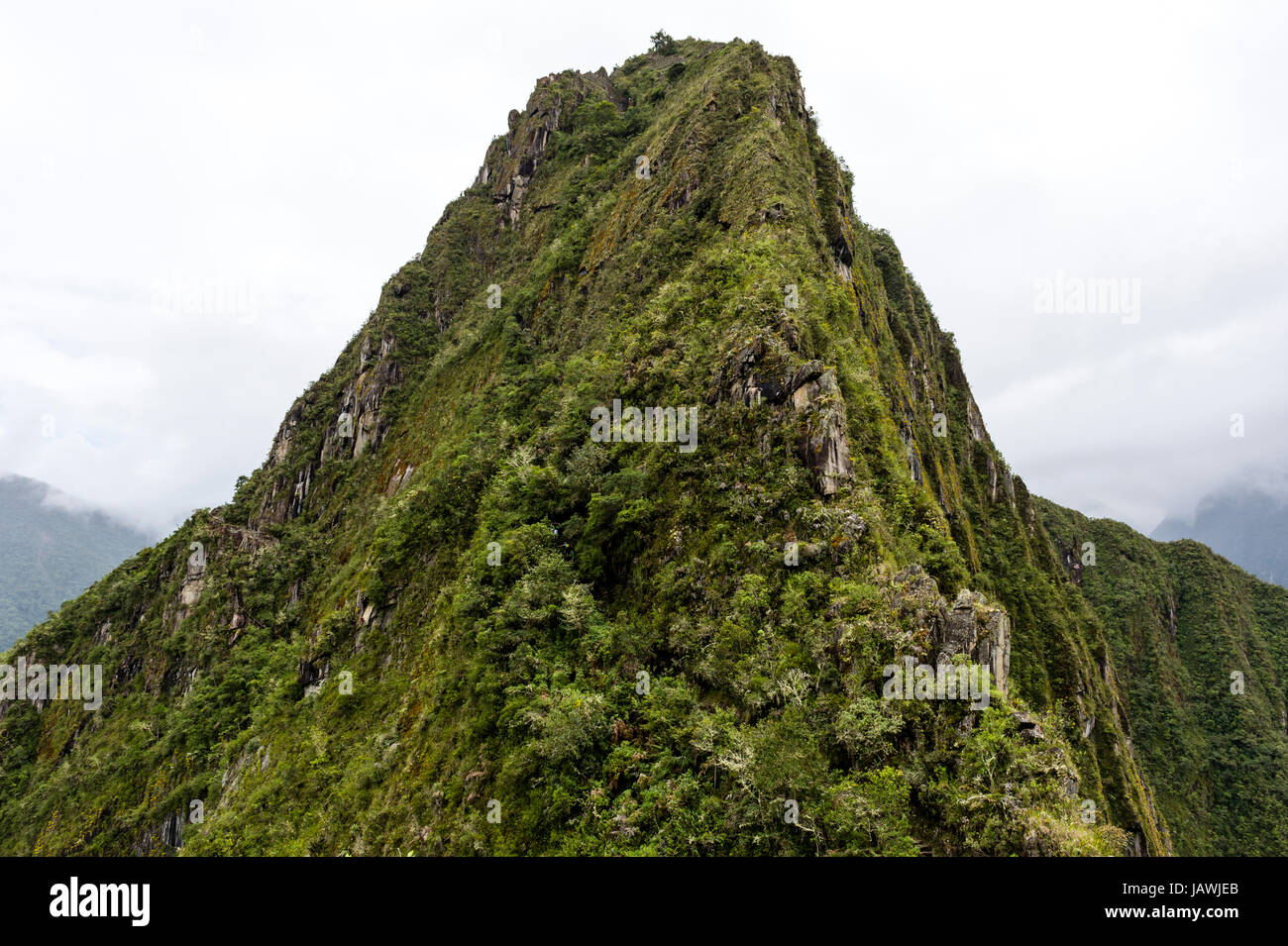 Die schiere gezackte Gipfel des Huayna Picchu bedeckt in Wald. Stockfoto