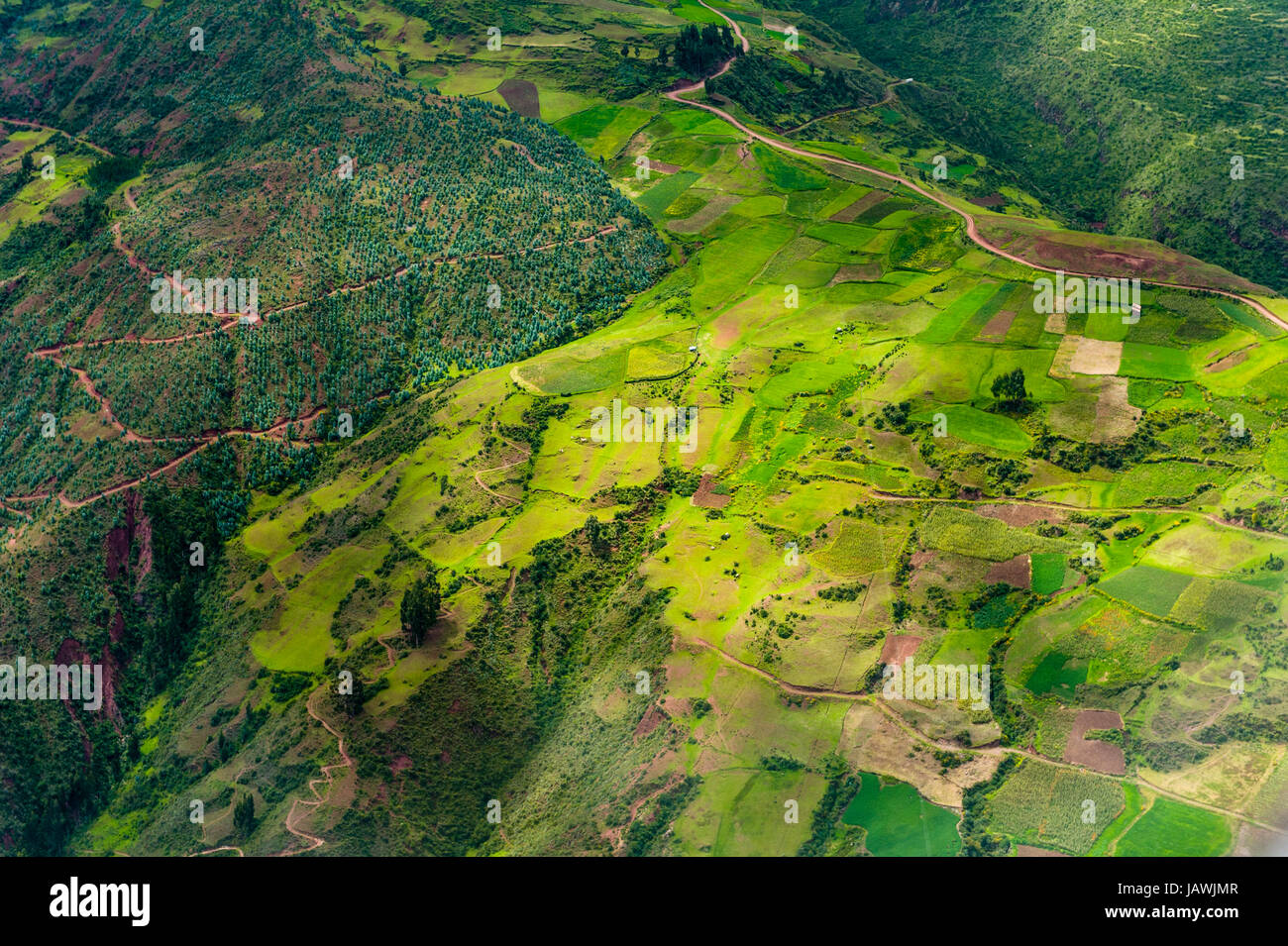 Nutzpflanzen und Ackerland auf einem Hügel in den Anden. Stockfoto