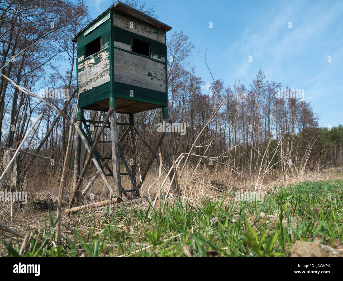 Hochsitz Auf Einer Lichtung in Froschperspektive Stockfoto