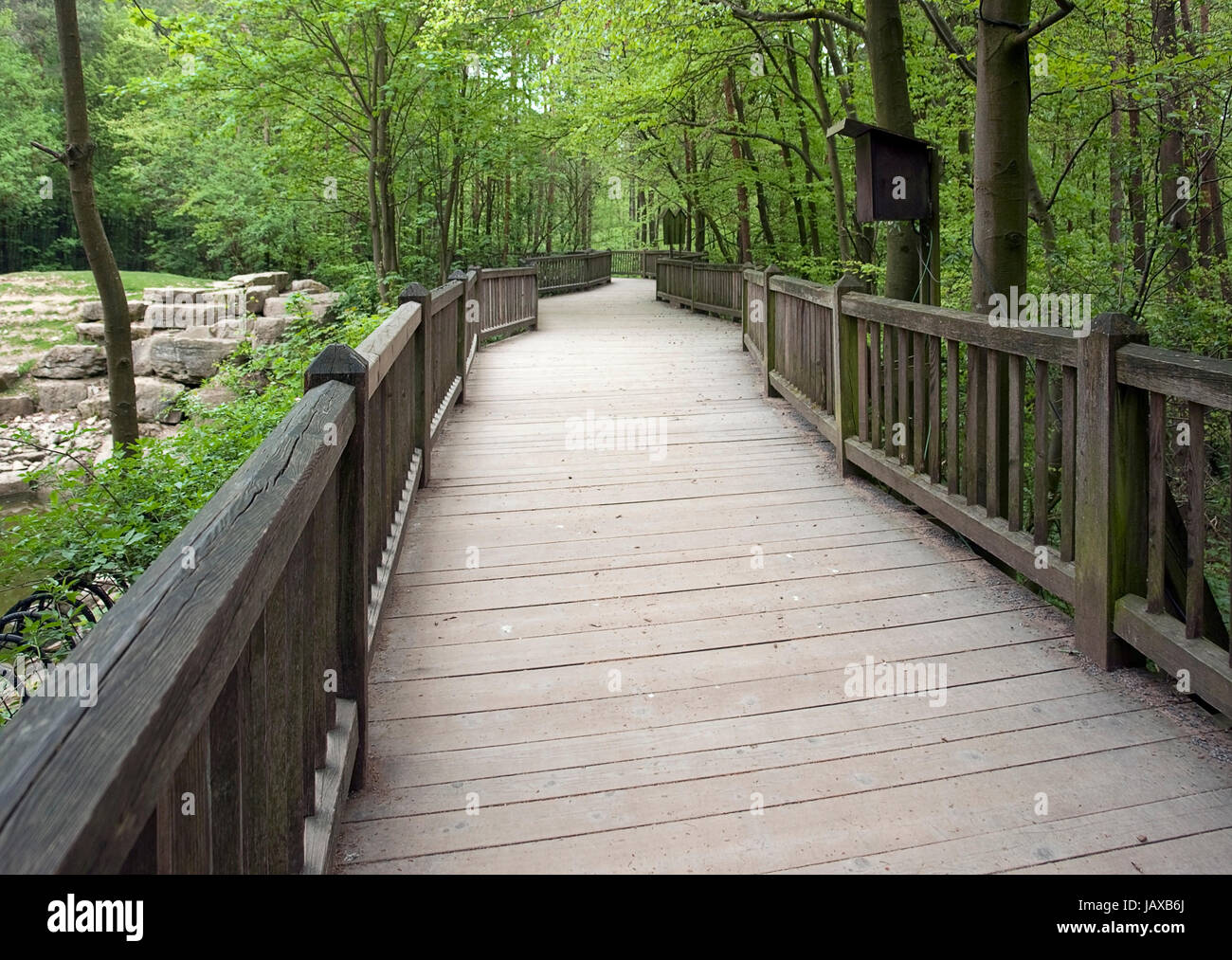 auf eine lange Holzbrücke in einem Wald im Frühjahr Stockfoto
