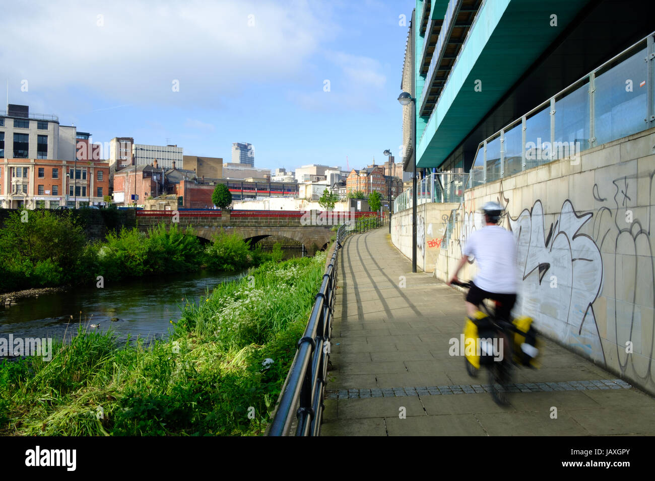 Mann Radfahren vorbei an Graffiti auf Radweg neben Fluss Don, Sheffield, UK Stockfoto