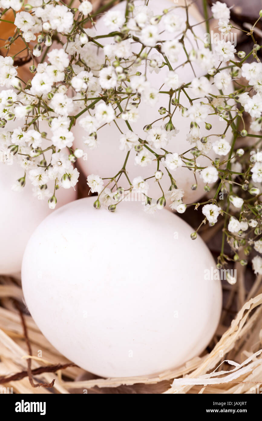 Weisse Eier Mit Blüten Im nest aus Stroh Ostern Dekoration ostereier Stockfoto