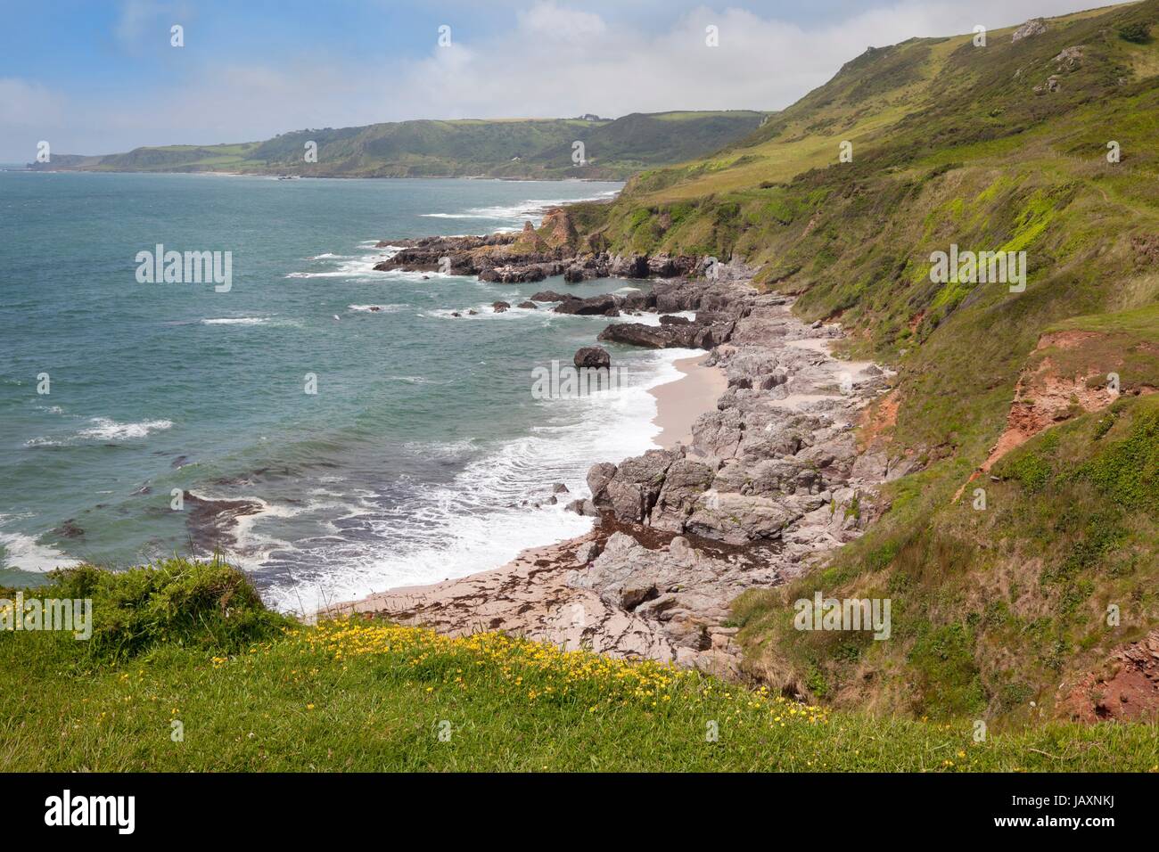 Menschen genießen die Devonshire Küste an große Mattiscombe Sand, England. Stockfoto