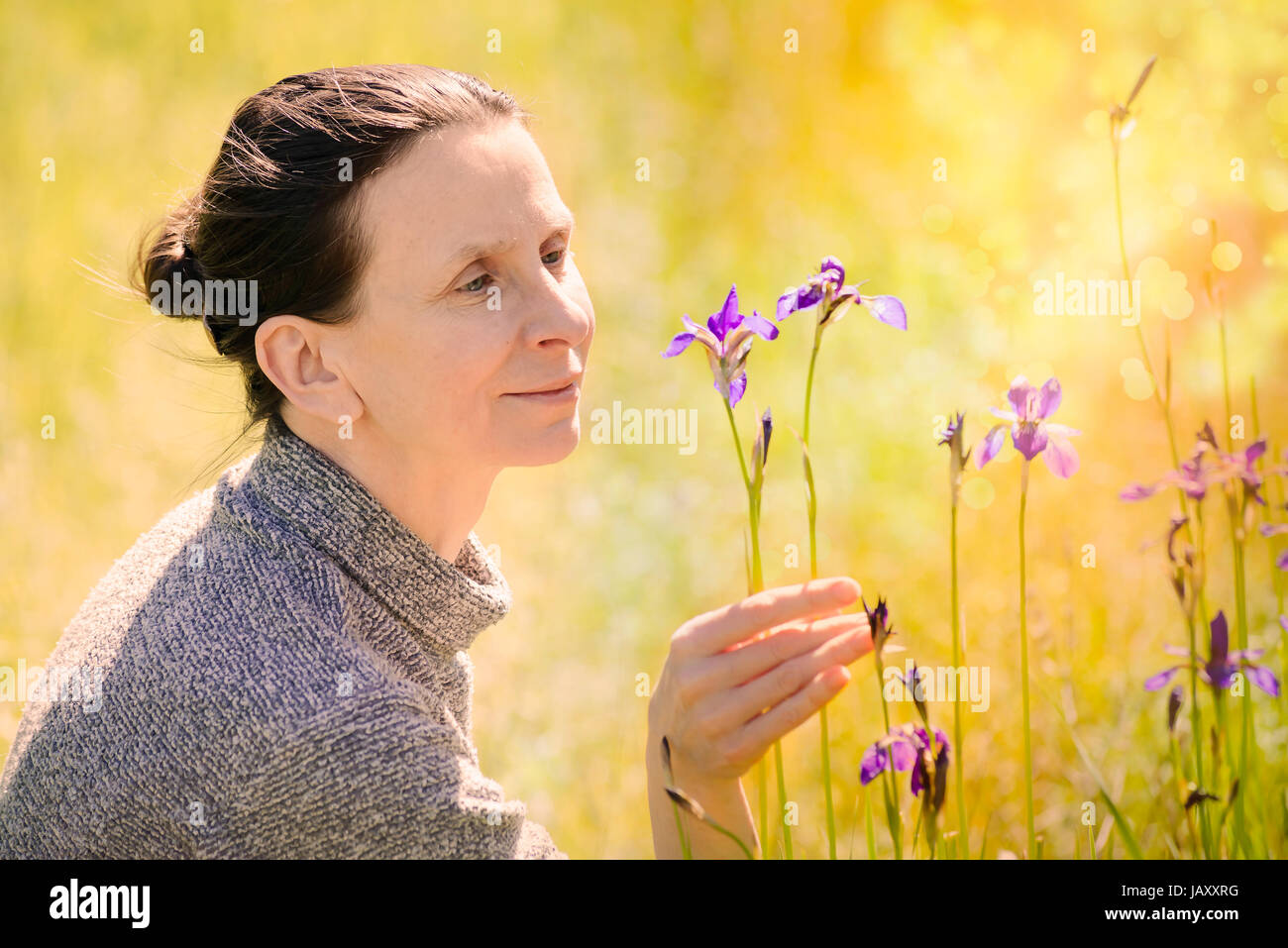 Kaukasische Erwachsene Frau suchen eine wilde Iris Sibirica Blume auf der Wiese bei Sonnenuntergang Stockfoto