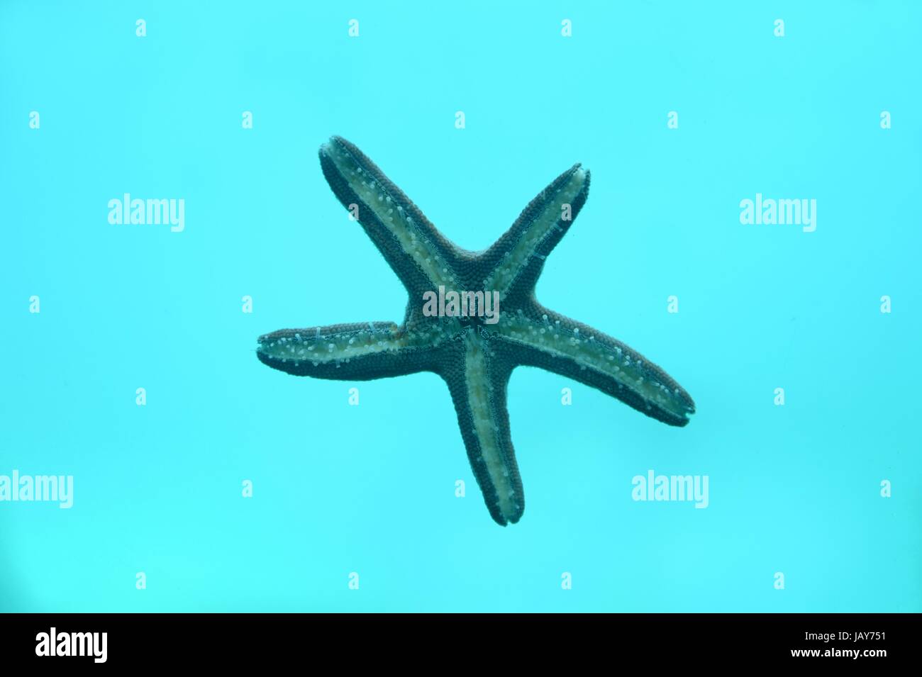 Eine abstrakte australischen Küste Meer Strand Bild Stockfoto