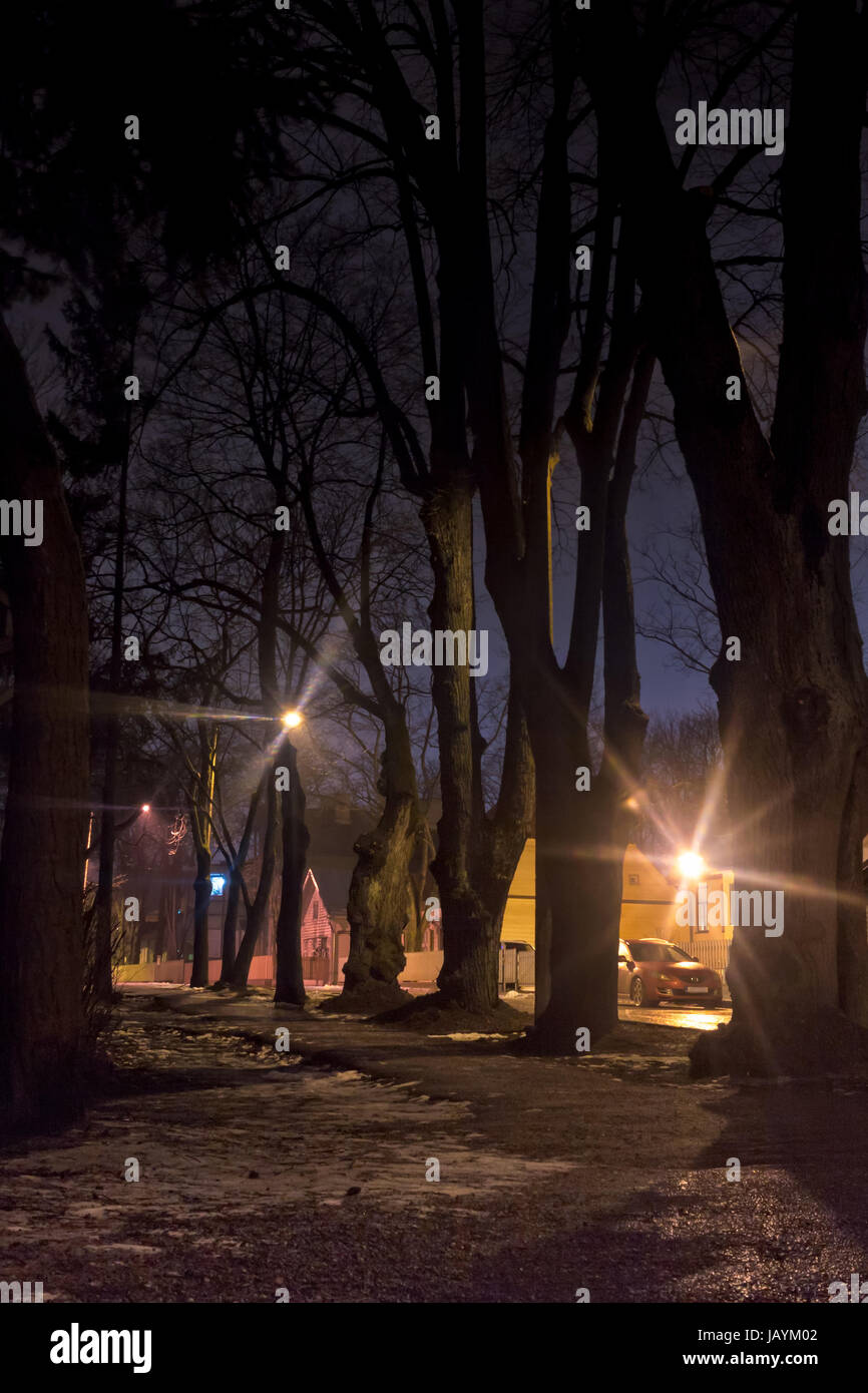 Einen eisigen und rutschigen Pfad zwischen den alten Bäumen im Bereich Kadriorg in Tallinn, Estland. Der schmelzende Schnee schuf vereiste Pfützen auf den Straßen. Stockfoto