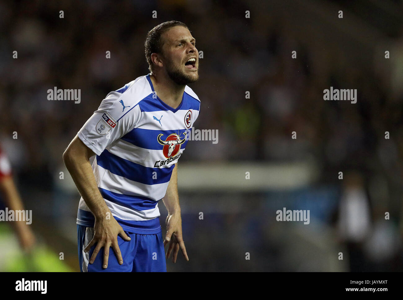 Joey van Den Berg lesen Stockfoto