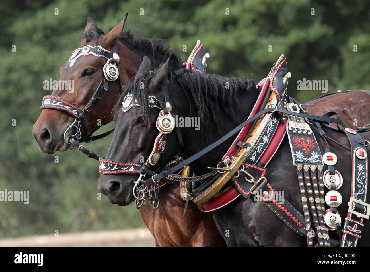 Fürstarbeit Stockfotos und bilder Kaufen Alamy
