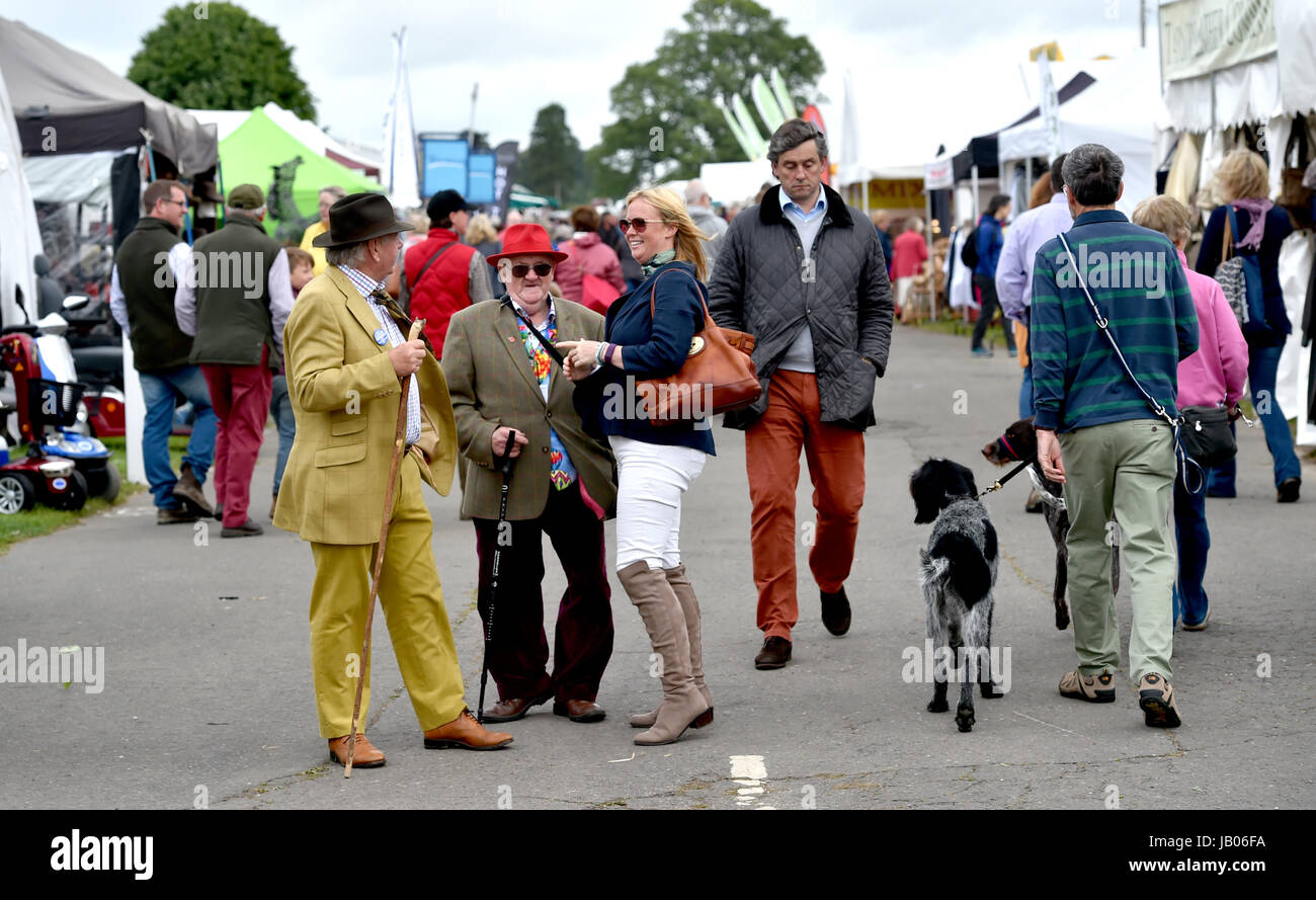 Ardingly Sussex, UK. 8. Juni 2017. Tausende von Menschen auf den Süden von England Show statt an der Ardingly Showground in Sussex. Der Süden von England Agricultural Society feiert ihr 50-jähriges Jubiläum in diesem Jahr präsentiert das Beste aus Landwirtschaft, Gartenbau und die Landschaft im Süden von England. Bildnachweis: Simon Dack/Alamy Live-Nachrichten Stockfoto