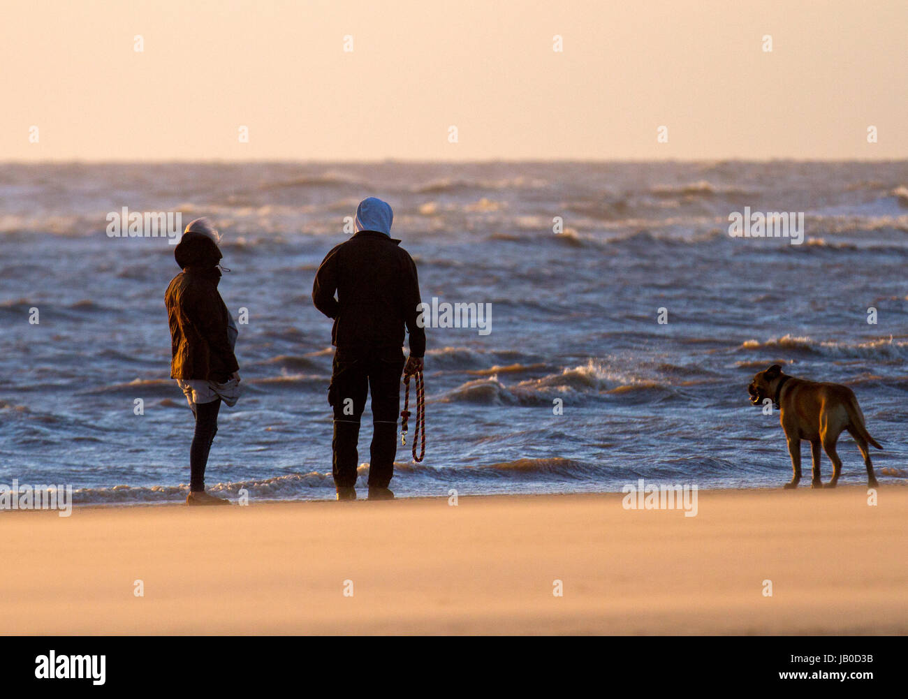 Southport, Merseyside, UK. UK Wetter. Starke Winde und wind Sand bei Sonnenuntergang auf ainsdale Strand. Die Dünen der Sefton Coast haben, über Hunderte von Jahren gebildet wurde, mit Sand im Inland von den weiten Sandstränden bei Ebbe geblasen und dann durch spezialisierte Küsten Pflanzen eingeschlossen. Trocknen südliche Winde über 25 mph sind erforderlich, um den Sand zu heben und Formationen & mini Dünen machen. Kredit; MediaWorldImages/AlamyLiveNews. Stockfoto