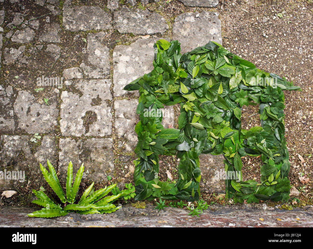 Haus-Symbol aus grünen Blättern gemacht Stockfoto