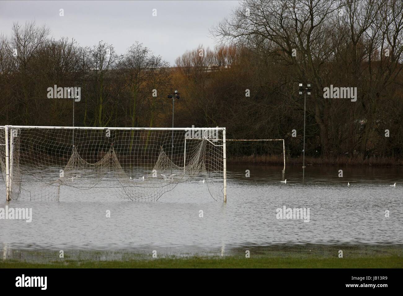 Wasser angemeldet FOOTBALL PITCH TADCASTER Brauerei TADCASTER ALBION JUNIOR FC TADACASTER NORTH YORKSHIRE ENGLAND 8. Januar 2012 Stockfoto