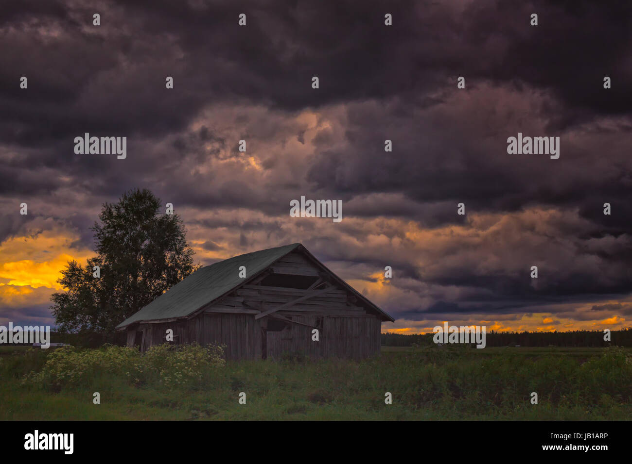 Das Sommer-Gewitter kommt in den Norden Finnlands. Eine einsame Scheunenhaus steht auf den Feldern unter den schweren Wolken. Stockfoto