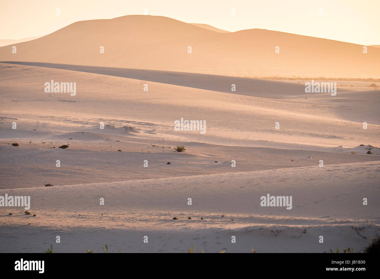 Sandunes Corralejo National Park Corralejo Fuerteventura Kanaren Spanien Stockfoto