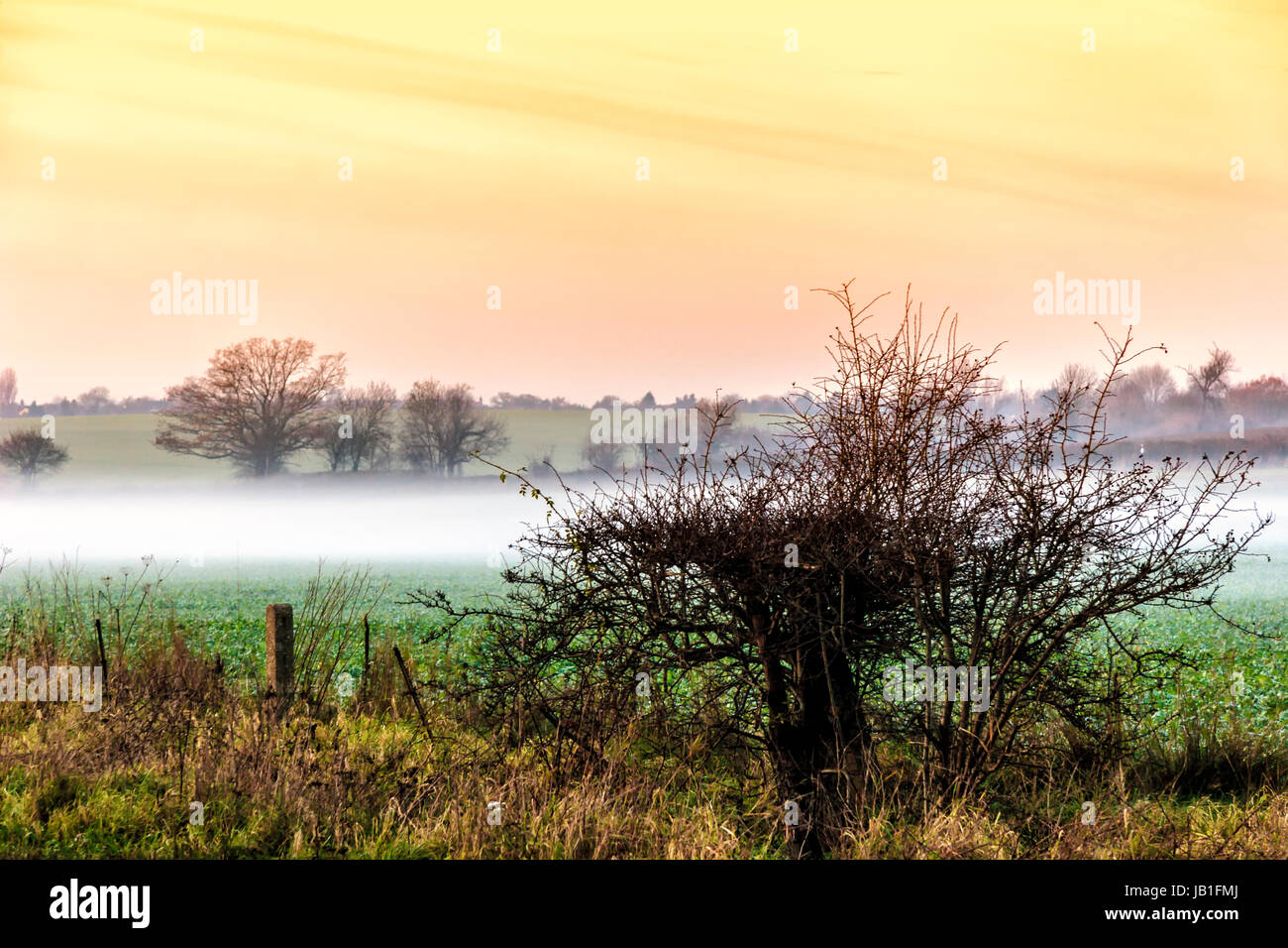 Sonnenaufgang über Ackerland mit frühen Morgennebel Stockfoto
