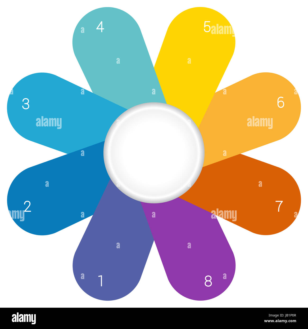 Kamille Infografik Vorlage bunten Blütenblättern 8 Stockfoto