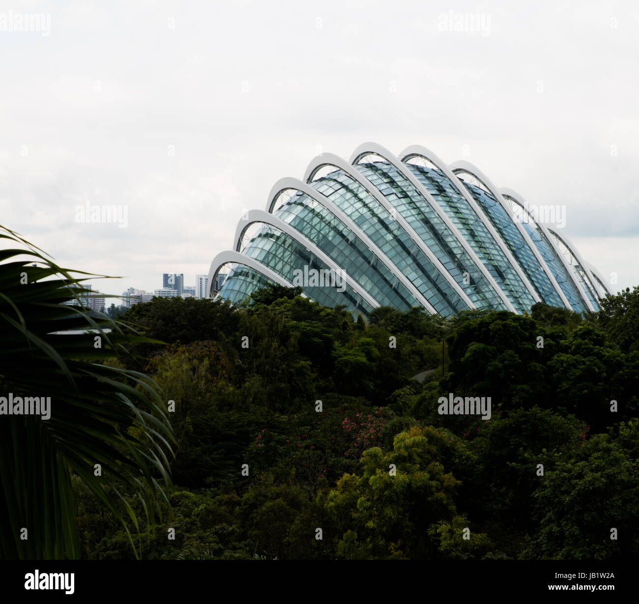 Panoramablick über den Nebelwald Gewächshaus in den Gärten an der Bucht in Singapur Stockfoto