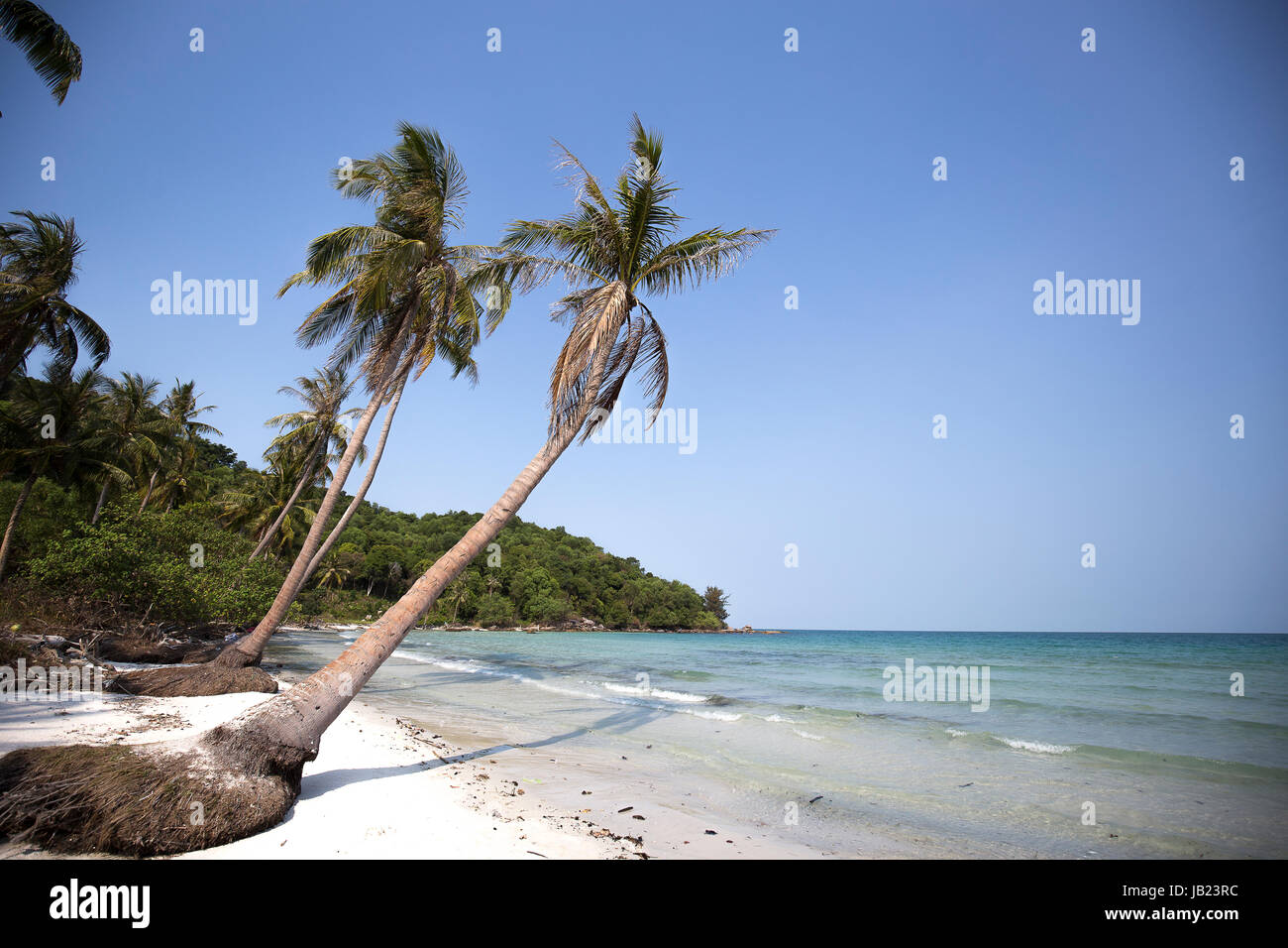 Sommerurlaub in Phu Quoc Insel White sand Strand Kokospalmen / Palm Bäume klaren blauen Himmel Stockfoto
