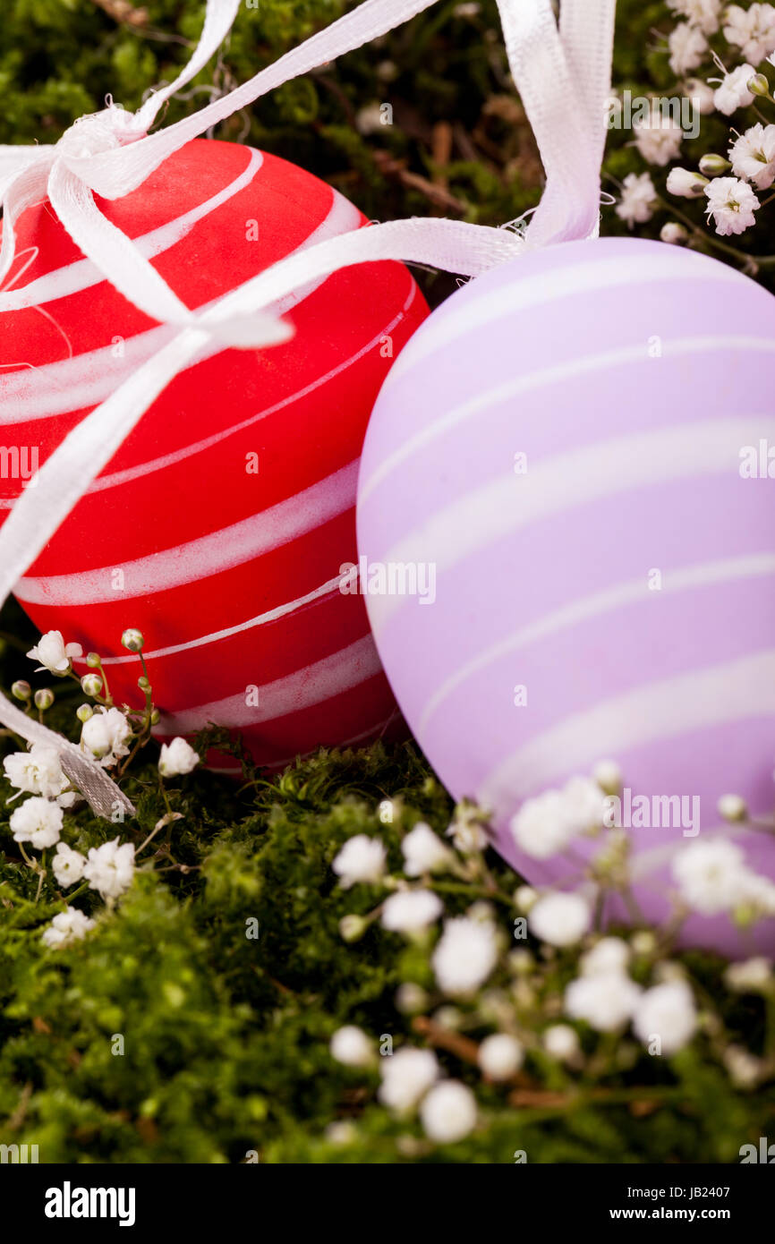 Bemalte Bunte Ostereier in orange Mit Frischen Blumen Ostern Festlich Dekoriert Feiertag frühling Stockfoto