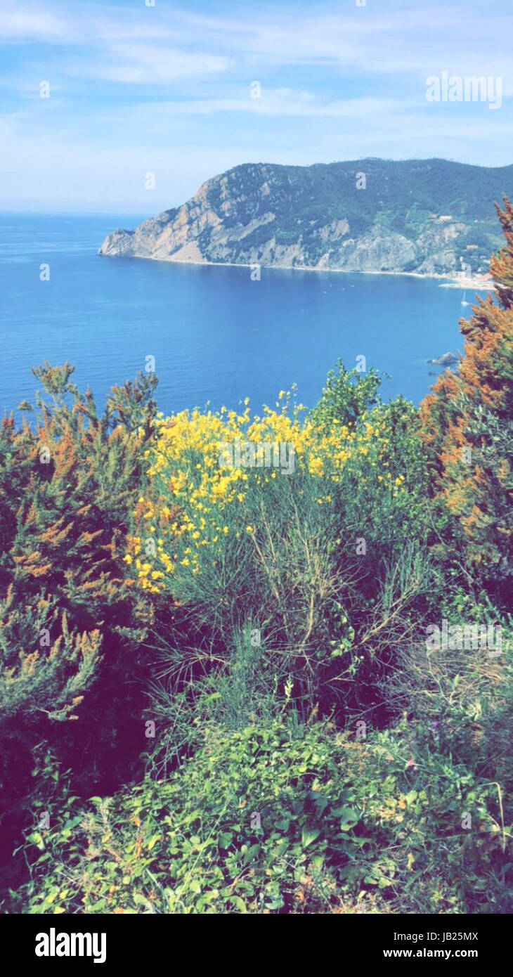 Blick auf das klare blaue Meer und den Himmel mit viel Grün und Blumen von den Hügeln während einer Wanderung von Monterosso nach Vernazza in Cinqueterre, Italien Stockfoto