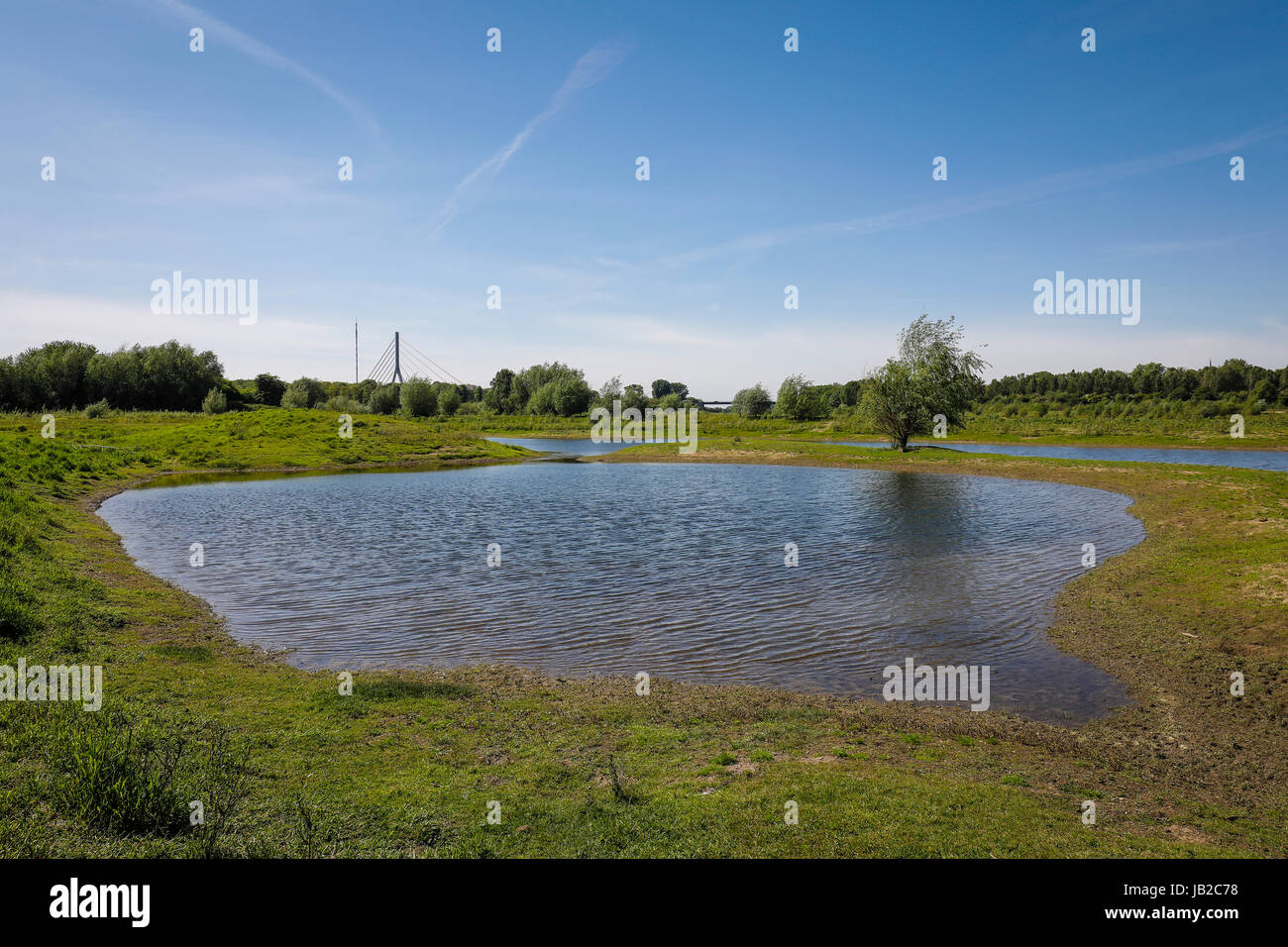 Lippe, renaturierten Auenlandschaft in der Nähe der Mündung des Flusses in den Rhein, Wesel, Niederrhein, Nordrhein-Westfalen, Deutschland, Europa, Lippe, renat Stockfoto