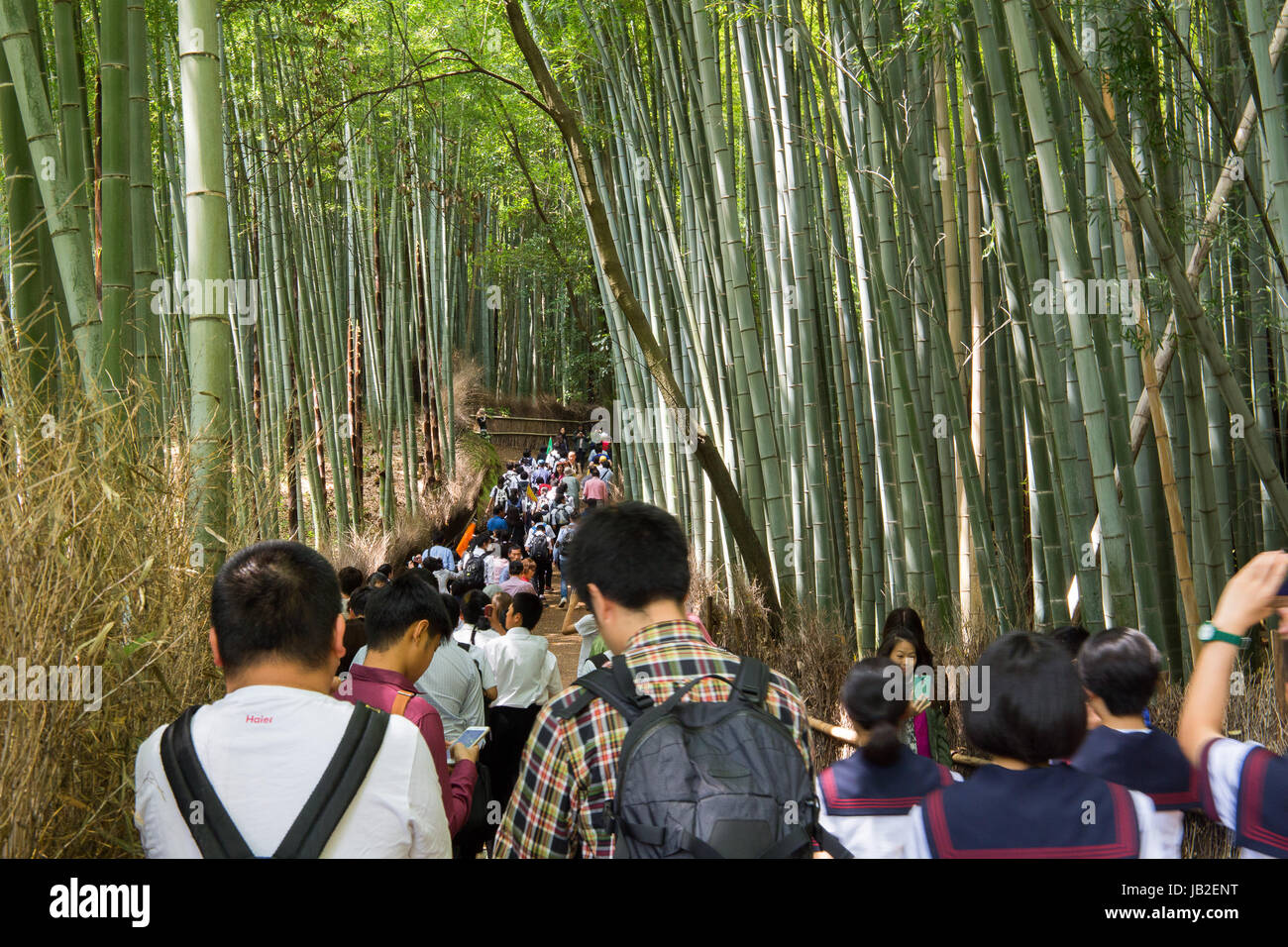 Touristen im Bambuswald in Arashiyama, Kyoto, Japan. Stockfoto