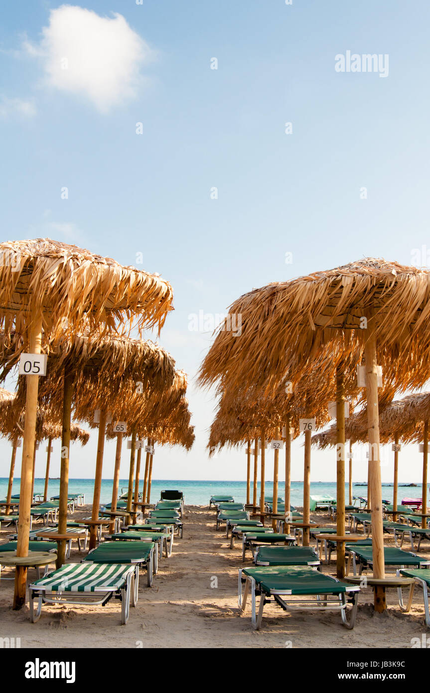 Was Kosten Liegen Und Sonnenschirme Auf Kreta Sonnenschirme und Liegestühle am Strand von Elafonissi, Kreta