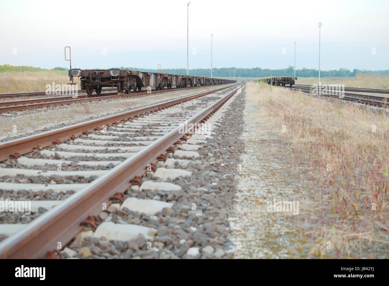 Gleisanlagen mit leeren offenen Wagen vorne auf dem Lande Stockfoto