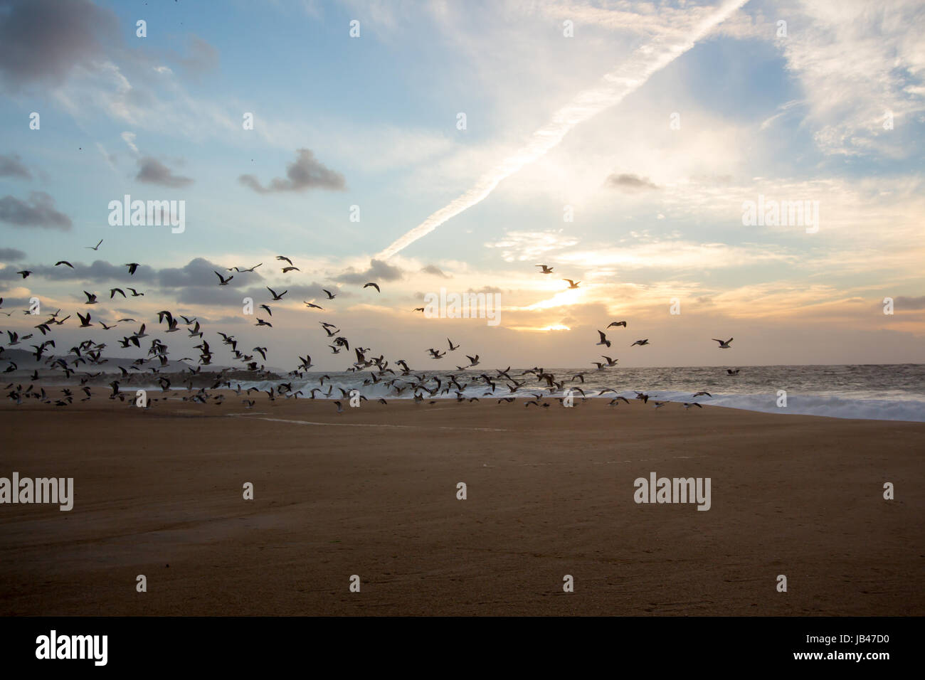 Sonnenstrahlen im Sommer Stockfoto