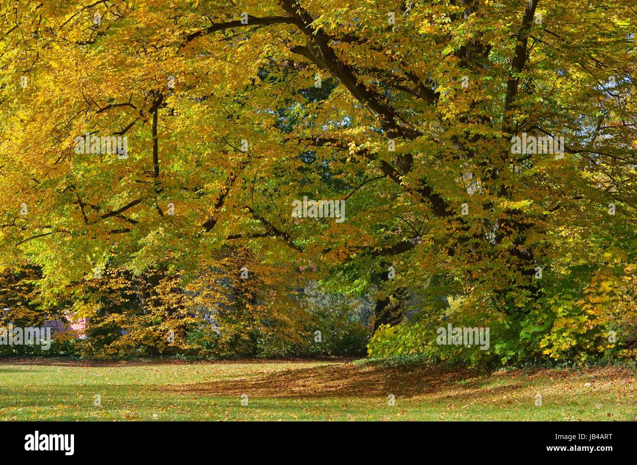 Park Im Herbst - Park im Herbst 01 Stockfoto