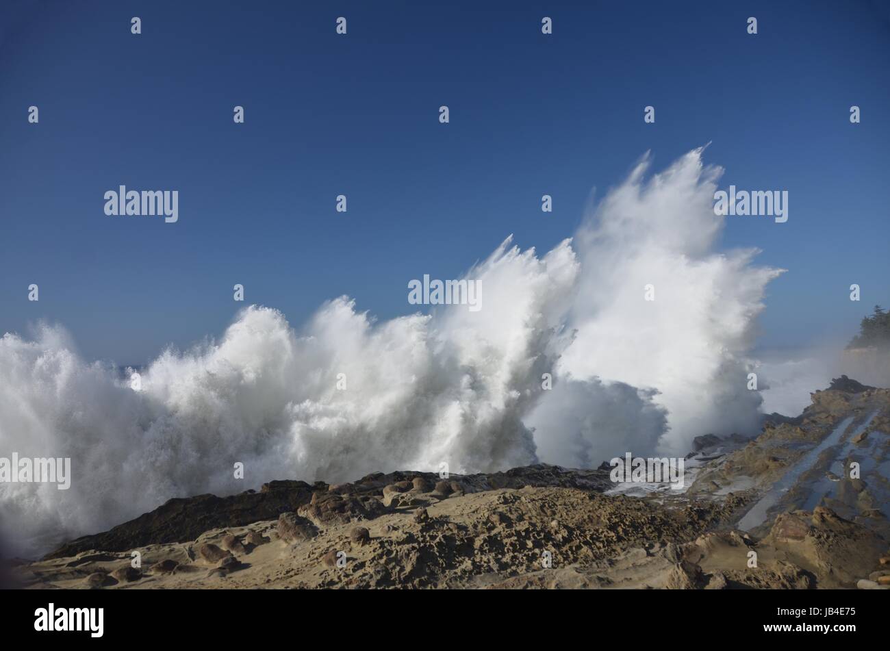 Spray von riesigen Wellen an Shore Acres State Park, Oregon Stockfoto