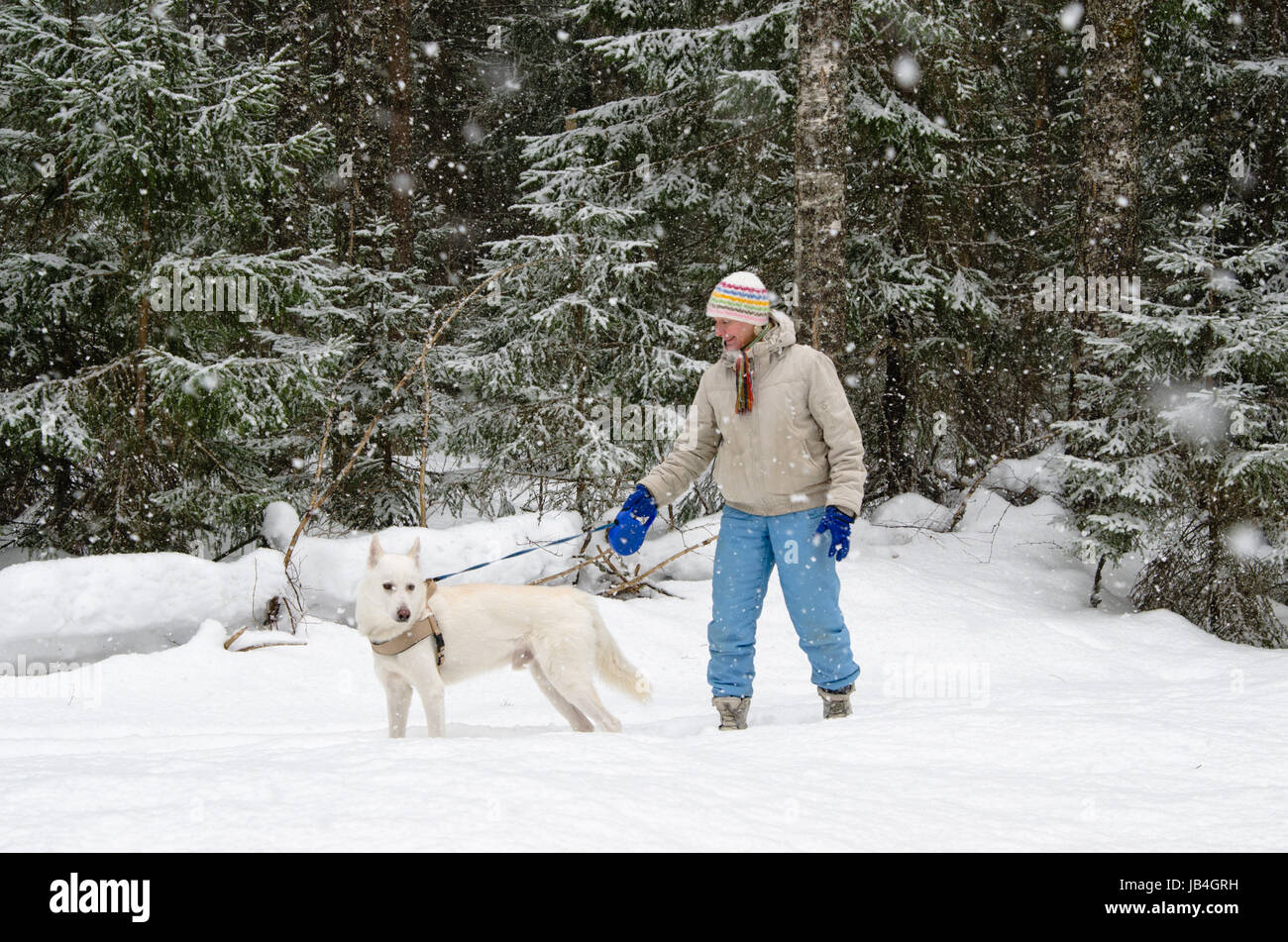 Frau mit einem Hund auf einem Spaziergang in den Wäldern während eines Schneefalls Stockfoto
