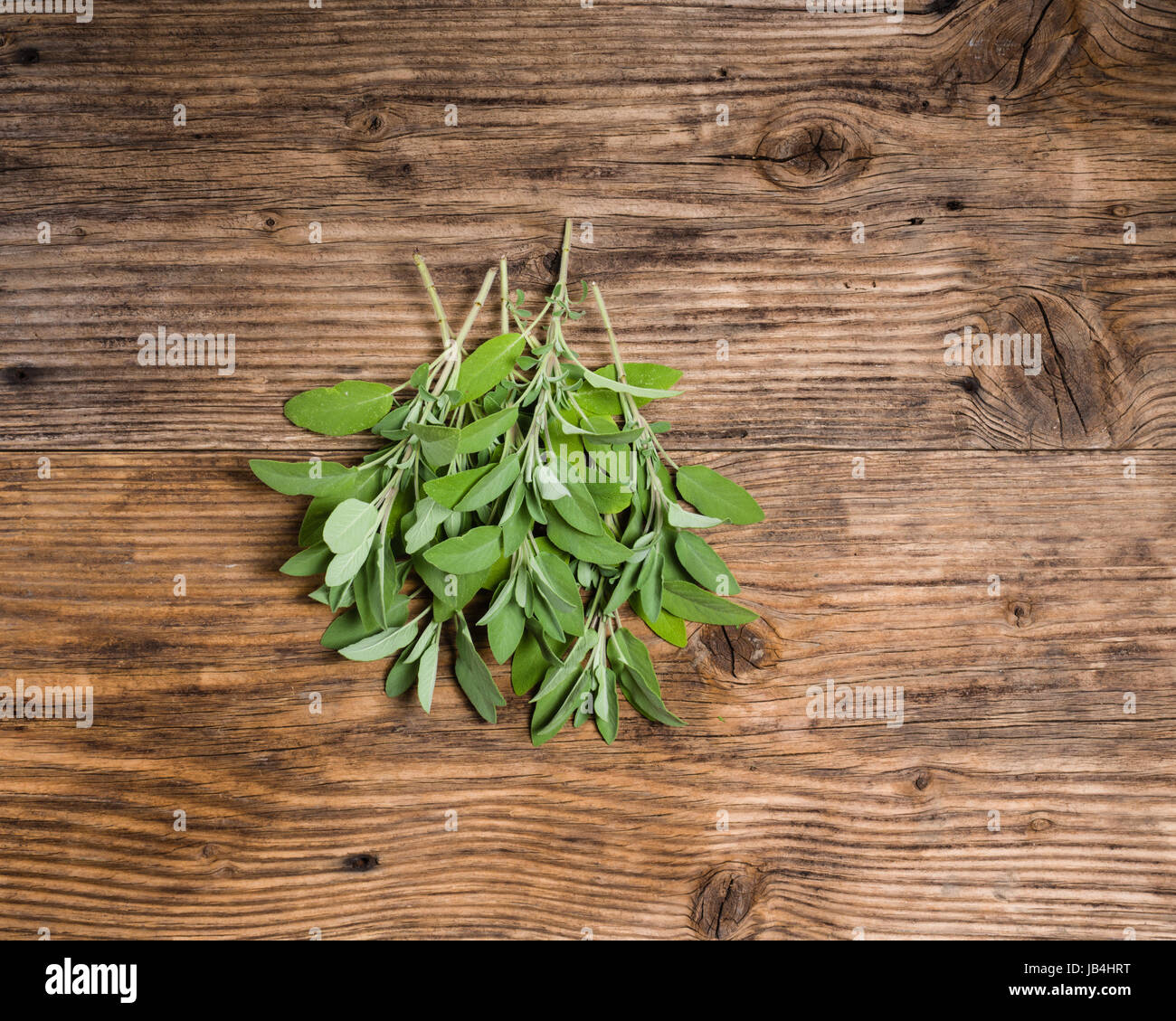 Frisch gepflückt Salbei Kraut auf einem Holztisch Stockfoto